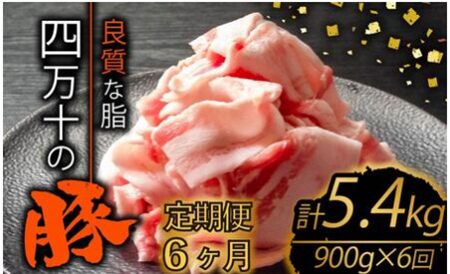 豚肉定期便6ヶ月 5.4kg