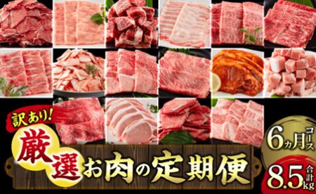定期便：宮崎県産黒毛和牛・宮崎県産豚肉 6か月コース