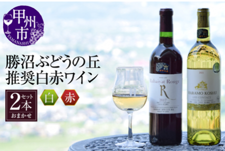 飲み比べで選ばれているワイン(白赤)の一例