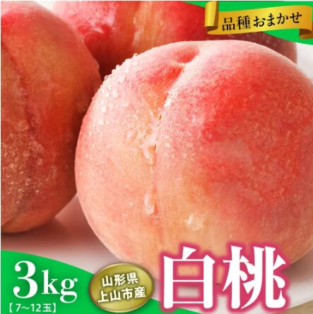 山形県上山市産 白桃（品種おまかせ）3kg