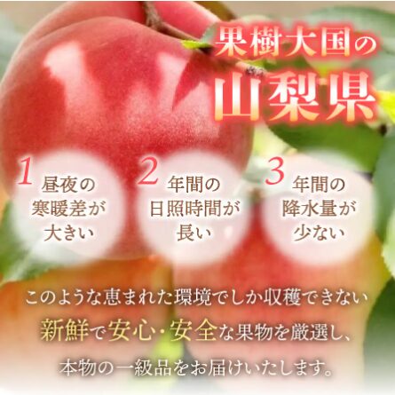 桃 山梨県産 朝どれ桃2kg