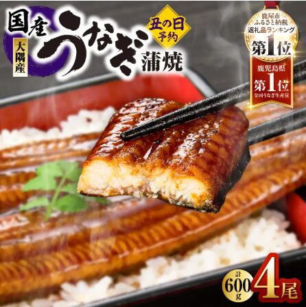 鹿児島県 大隅産 うなぎ蒲焼 4尾(600g)